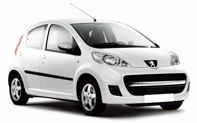 Peugeot 107 - Viskerblad (for)