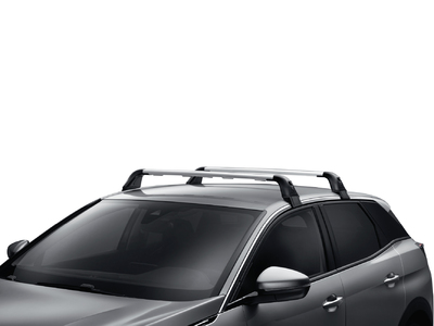 Peugeot 3008 Gen. 2 - Tagbjler mont. drkarme